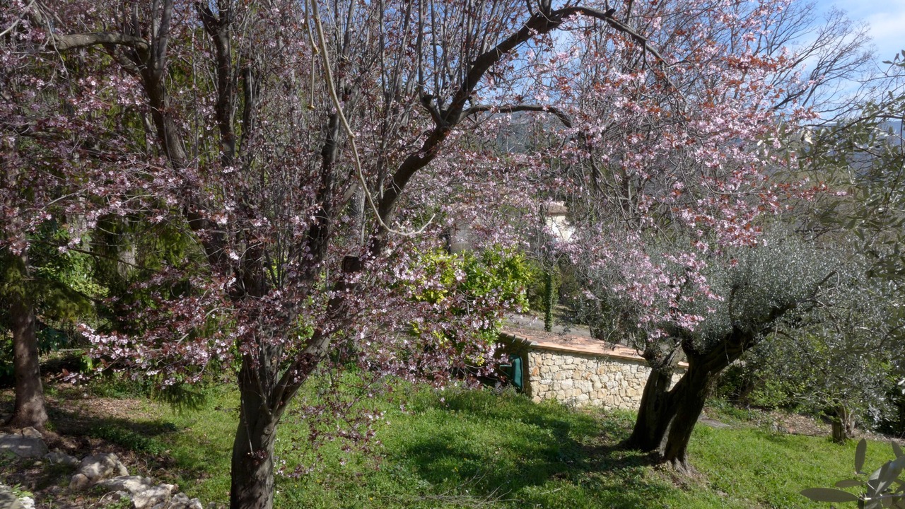 Photo of Outdoor in Bargemon
