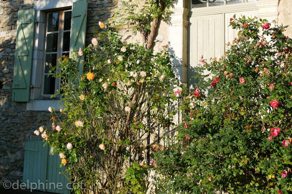 Photo of Outdoor in Montousse