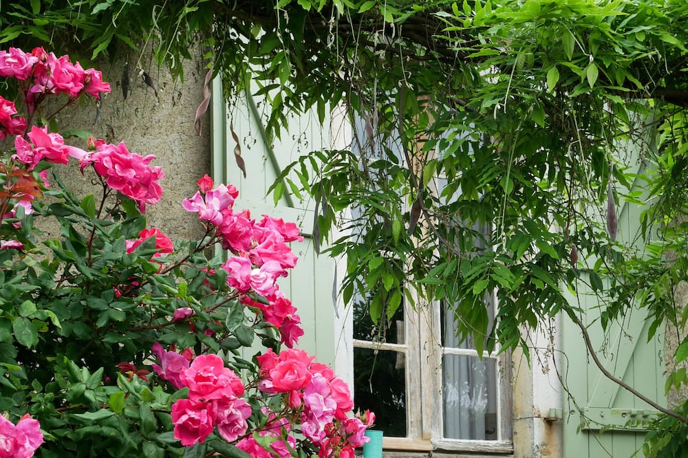 Photo of Outdoor in Montousse