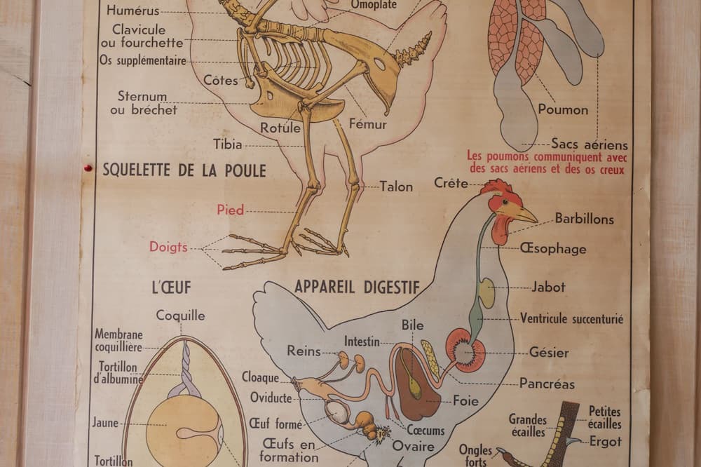 Photo of Others in Montousse