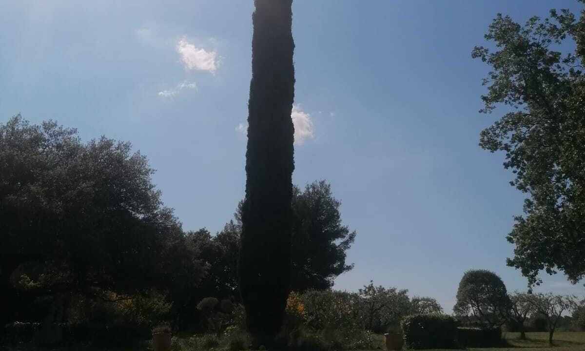 Photo of Outdoor in Le Beausset