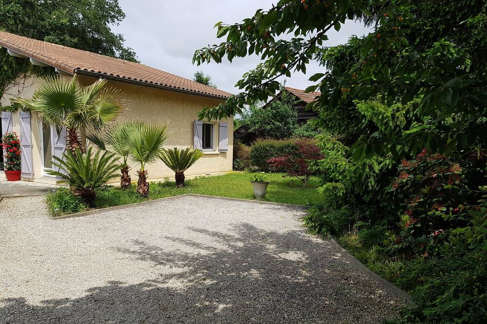 Photo of Outdoor in Saubion