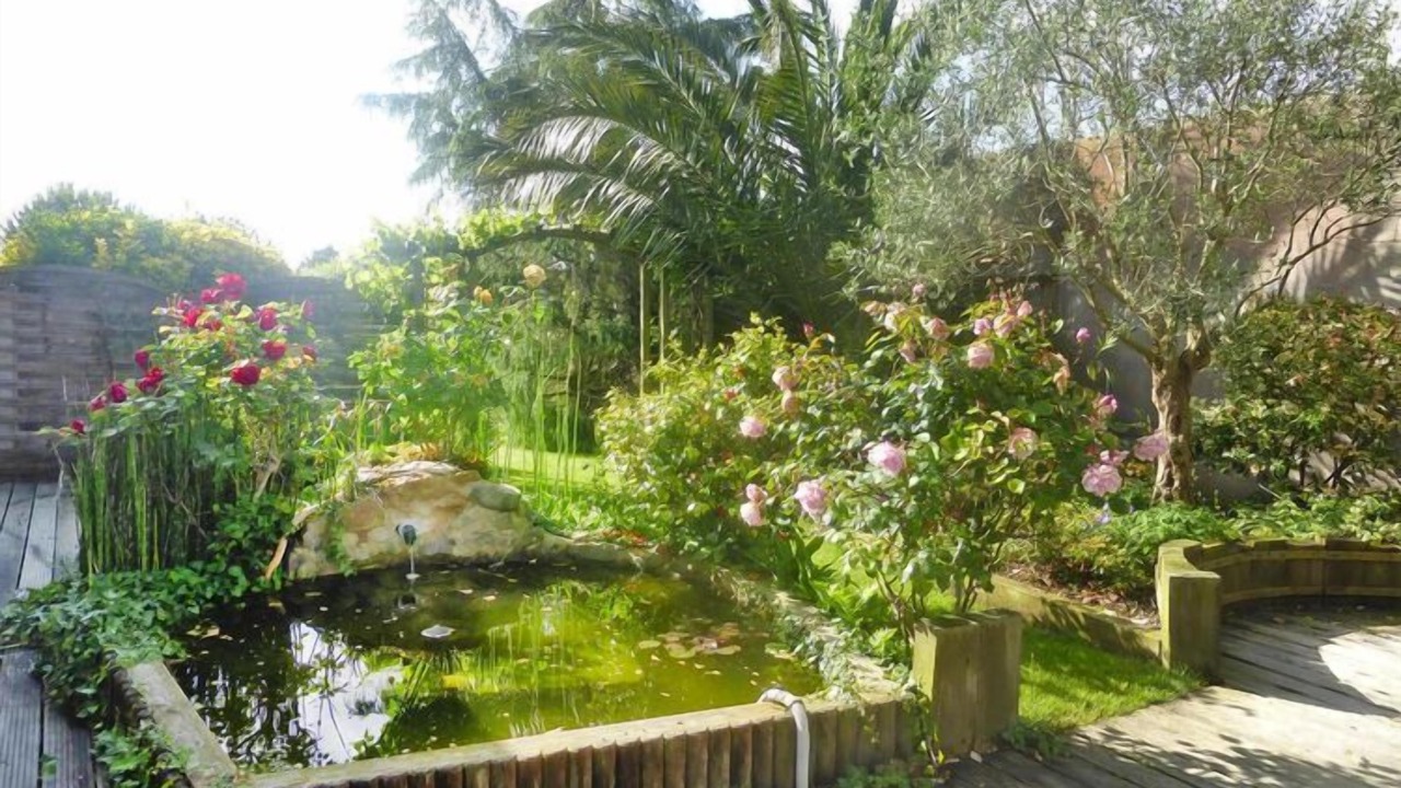 Photo of Outdoor in Hillion