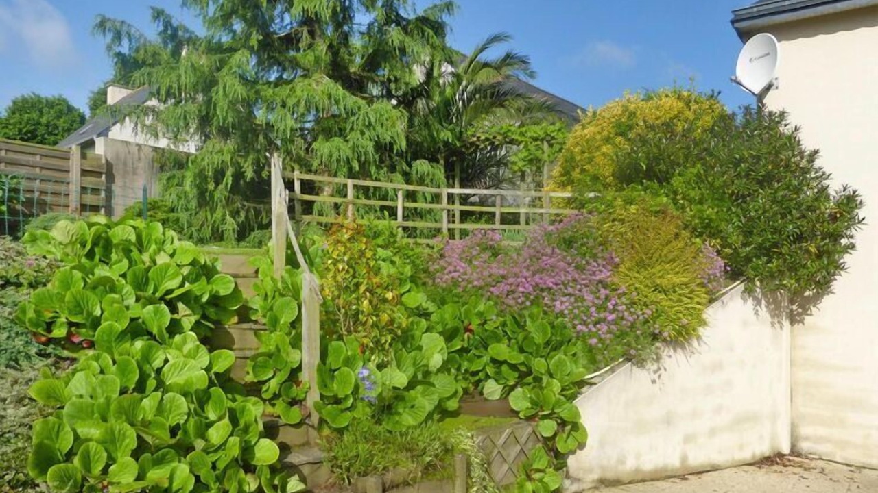 Photo of Outdoor in Hillion