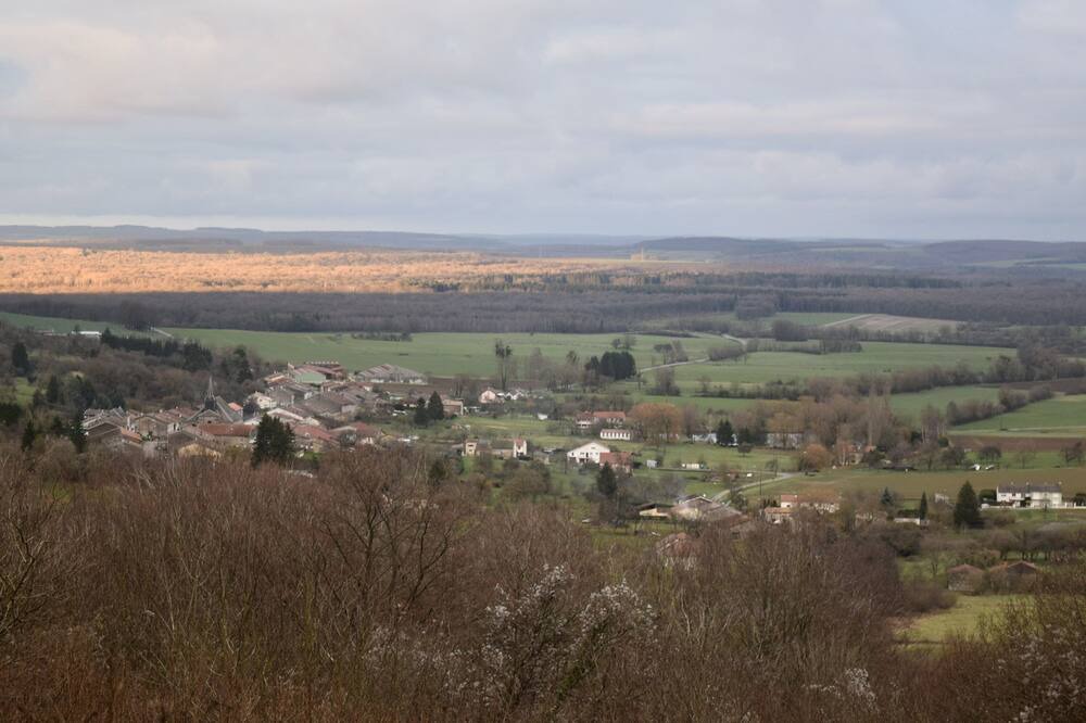 Photo of Others in Brandeville
