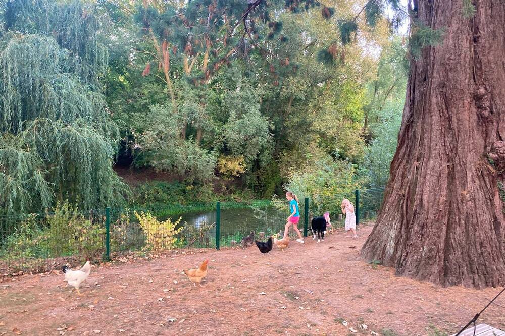 Photo of Outdoor in Payns