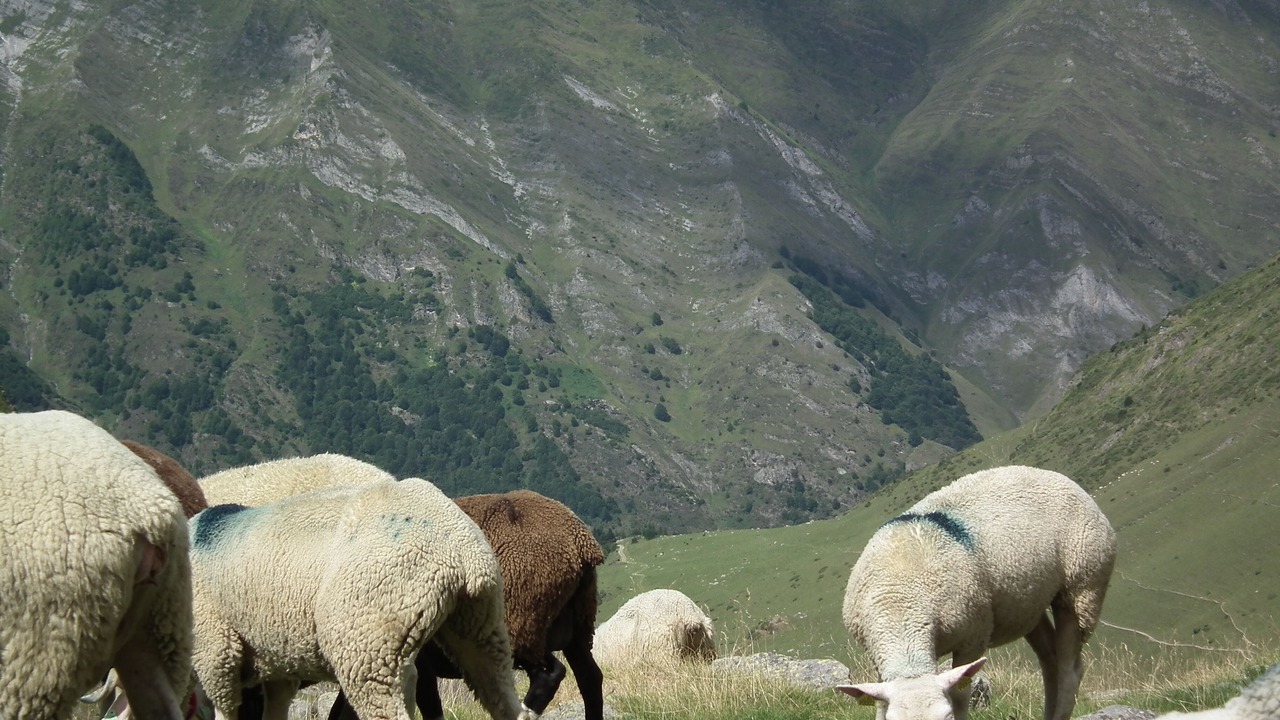 Photo of Outdoor in Arcizans-Dessus