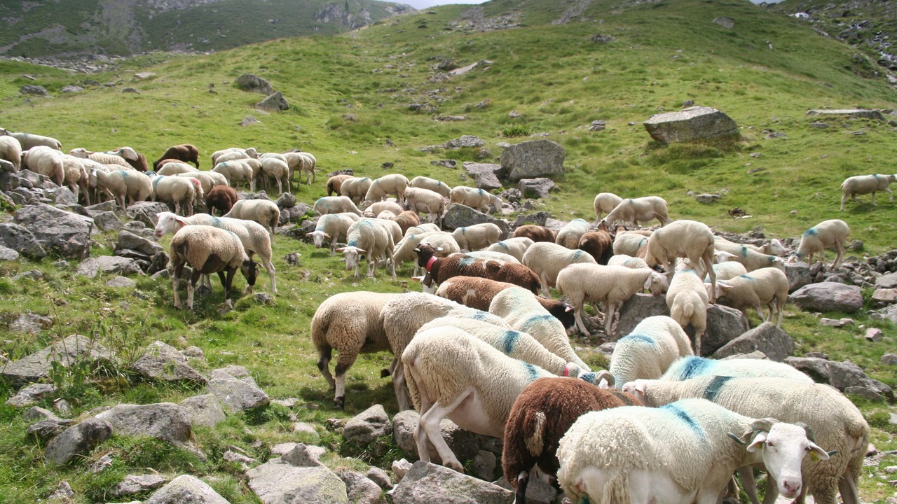 Photo of Outdoor in Arcizans-Dessus