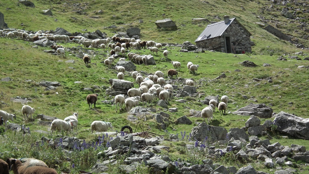 Photo of Outdoor in Arcizans-Dessus