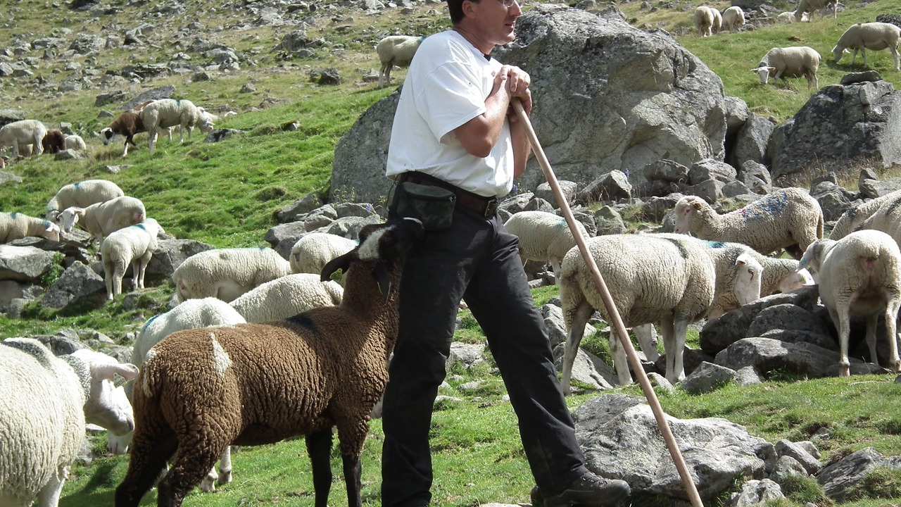 Photo of Others in Arcizans-Dessus