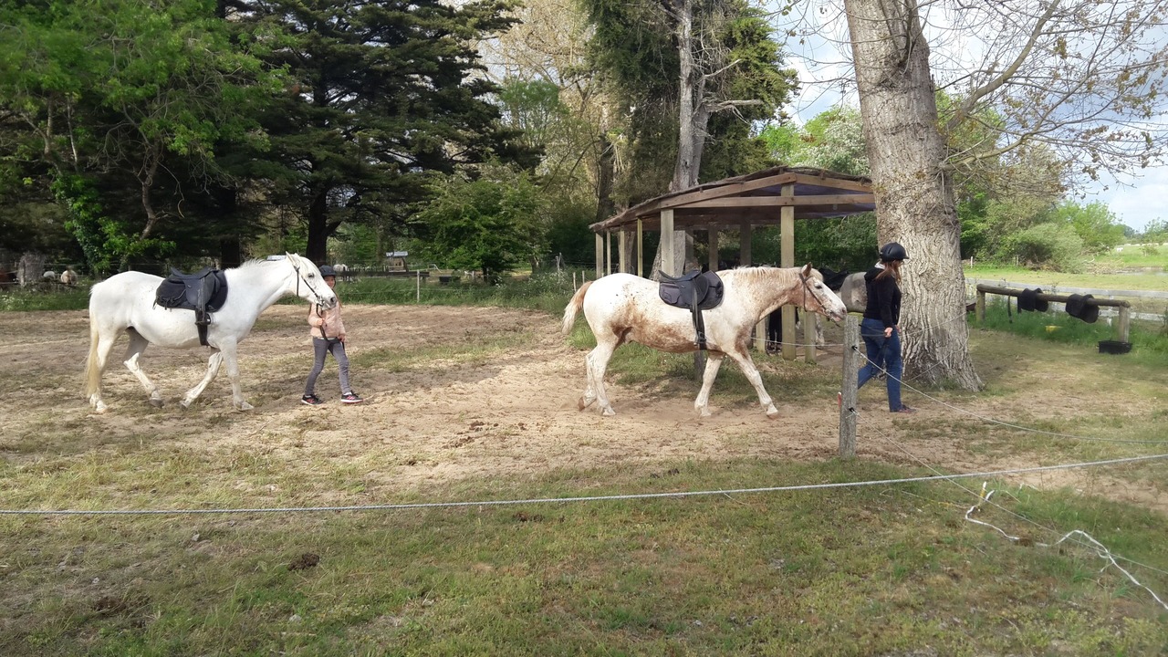 Photo of Others in Estezargues
