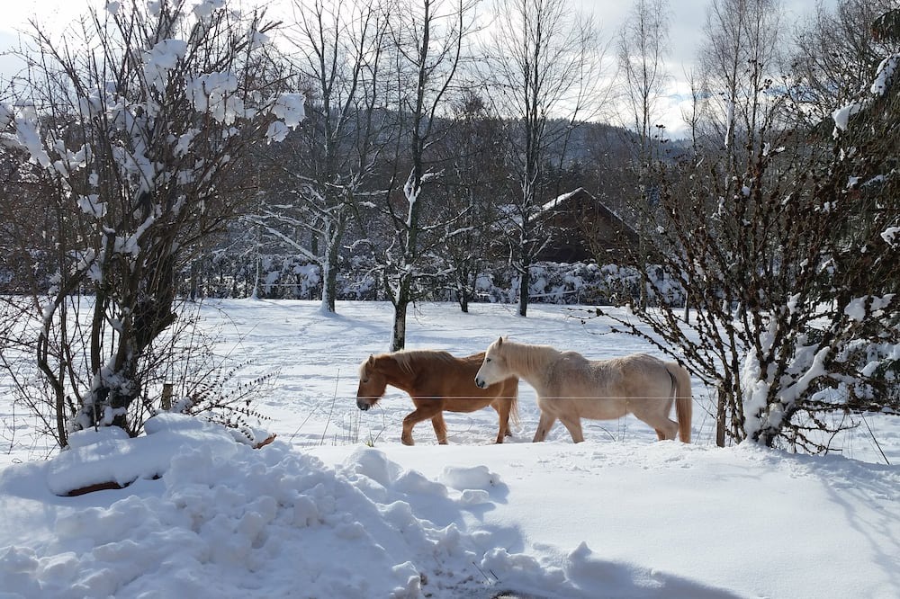 Photo of Others in Colroy-la-Grande