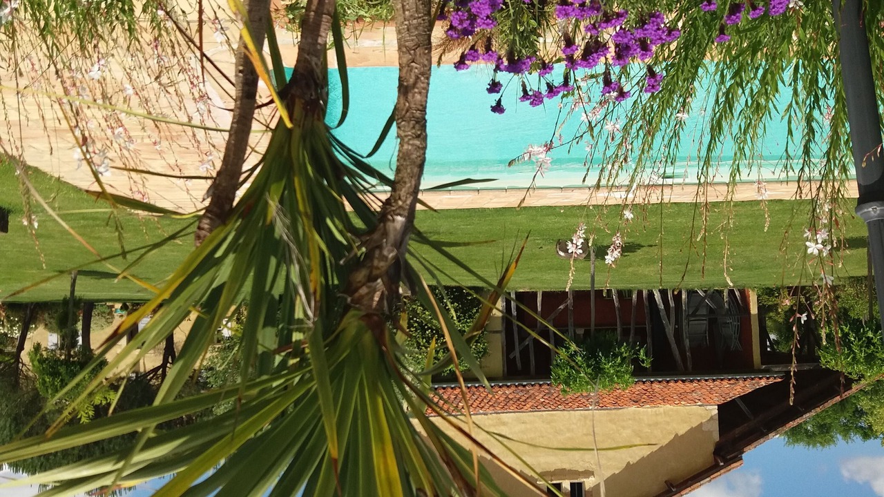 Photo of Outdoor in Lasseube-Propre