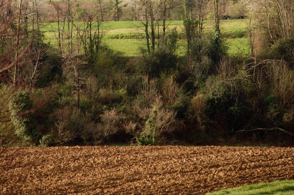 Photo of Outdoor in Puydarrieux