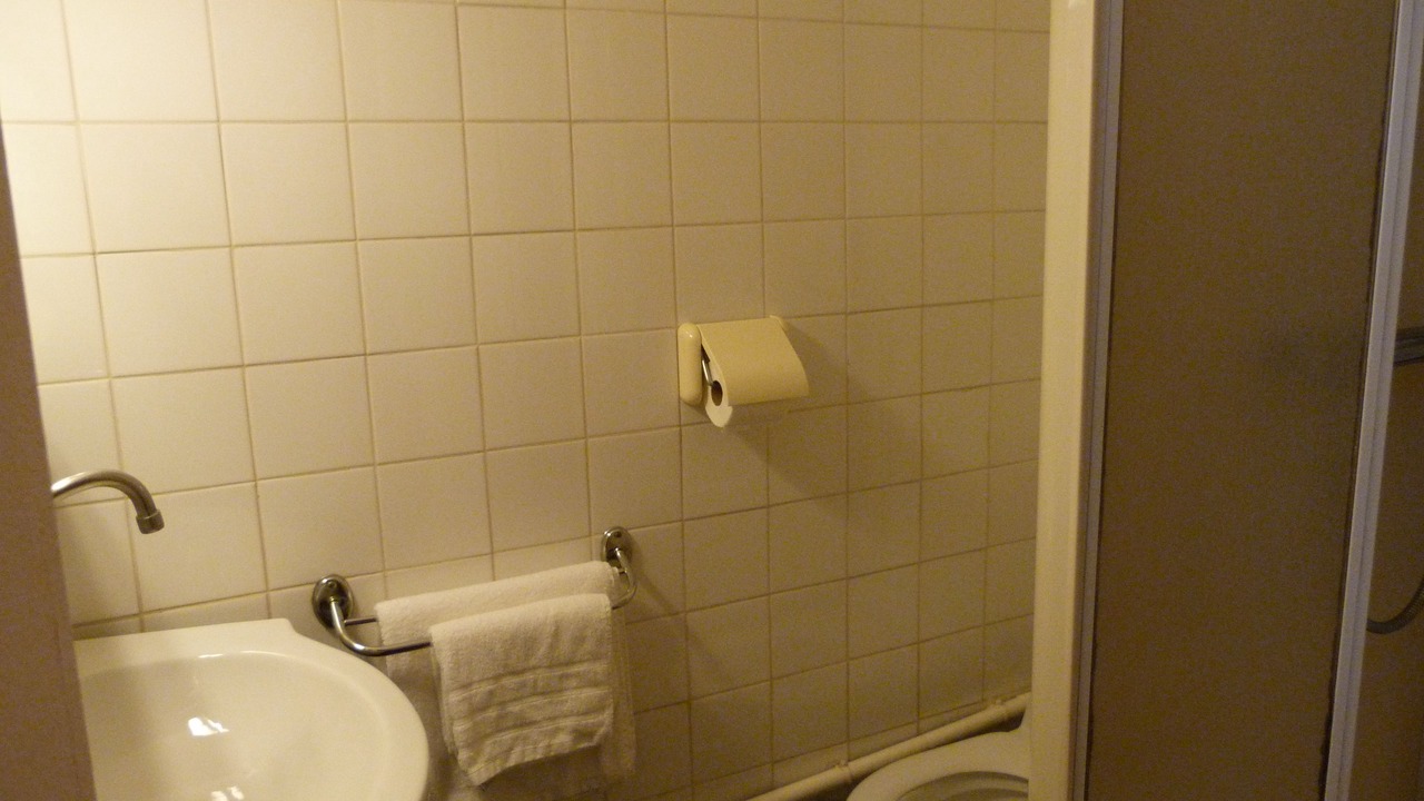 Photo of Bathroom in Provins