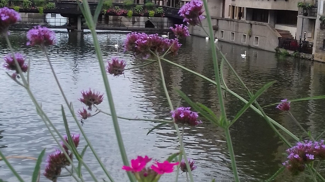 Photo of Outdoor in Sablon