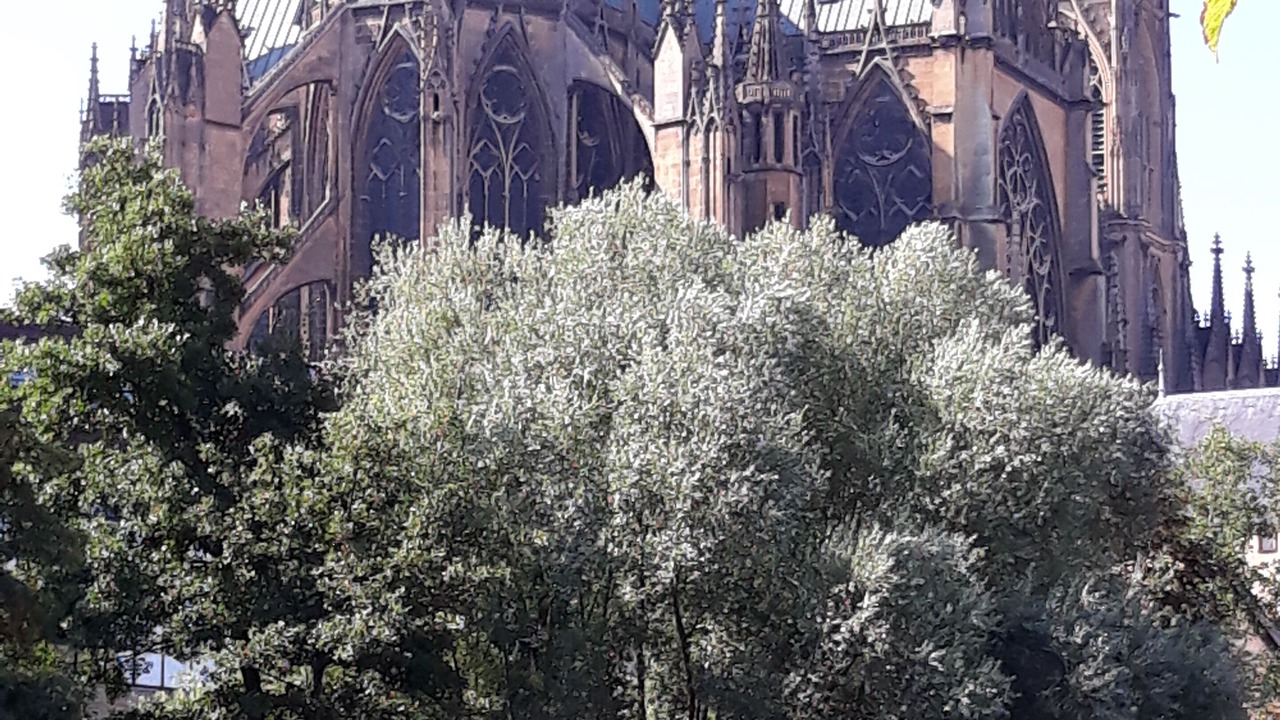 Photo of Outdoor in Sablon