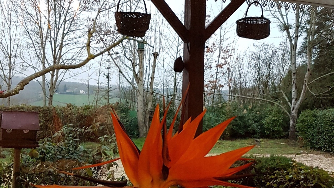 Photo of Outdoor in Ordan-Larroque