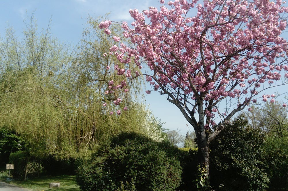 Photo of Outdoor in Neulliac