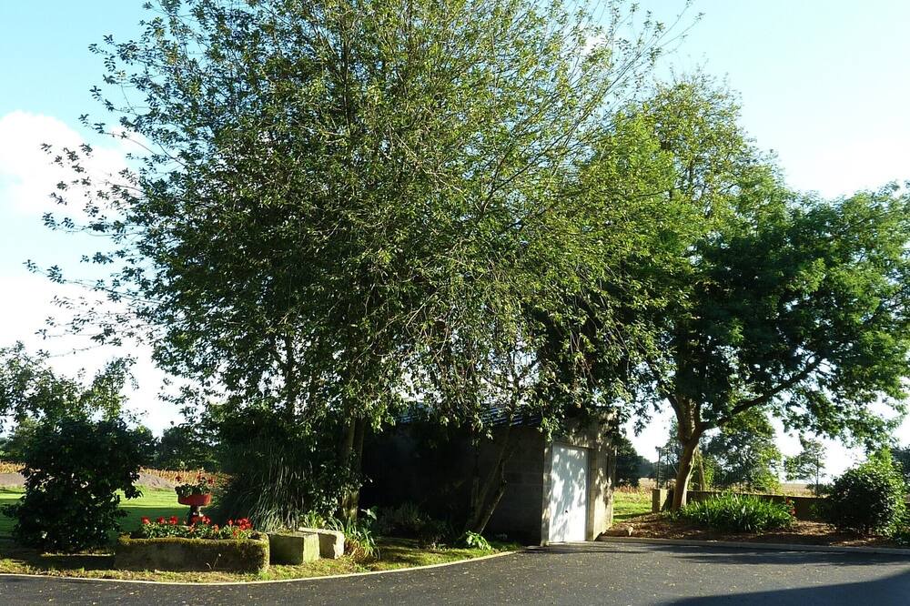 Photo of Outdoor in Neulliac