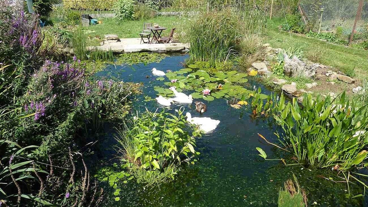 Photo of Outdoor in Saint-Maden