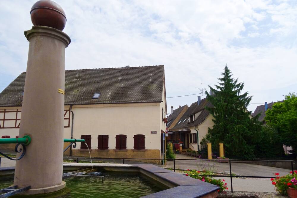 Photo of Others in Sigolsheim