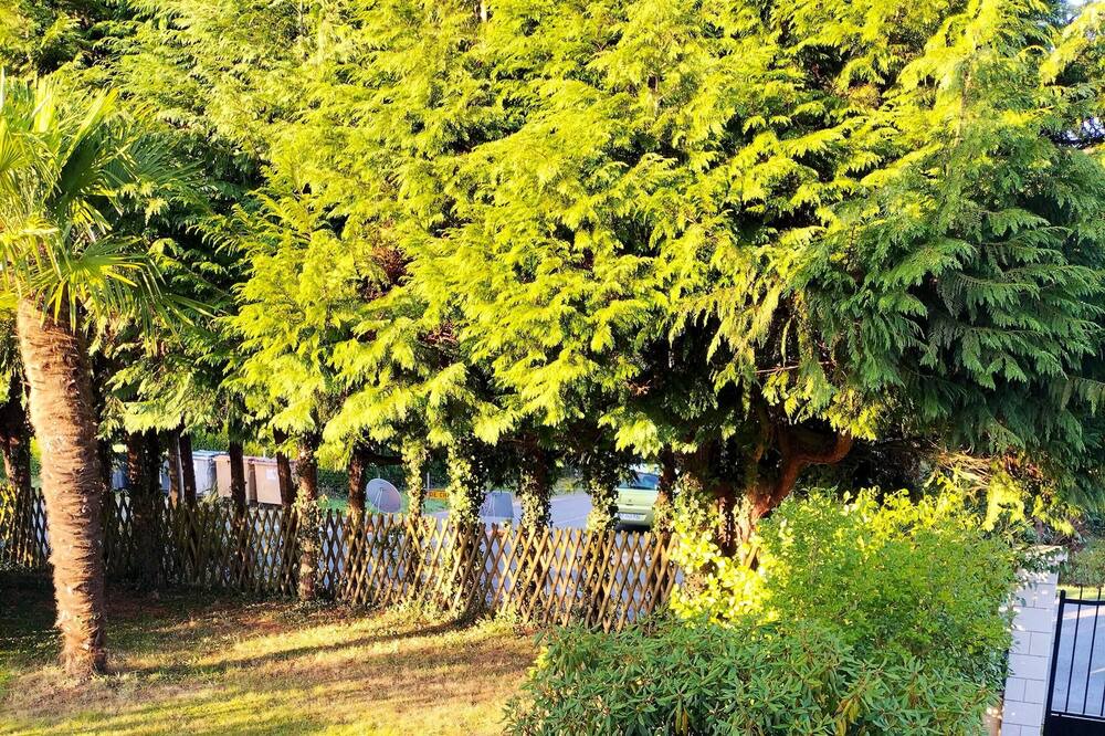 Photo of Outdoor in Belle-Isle-en-Terre