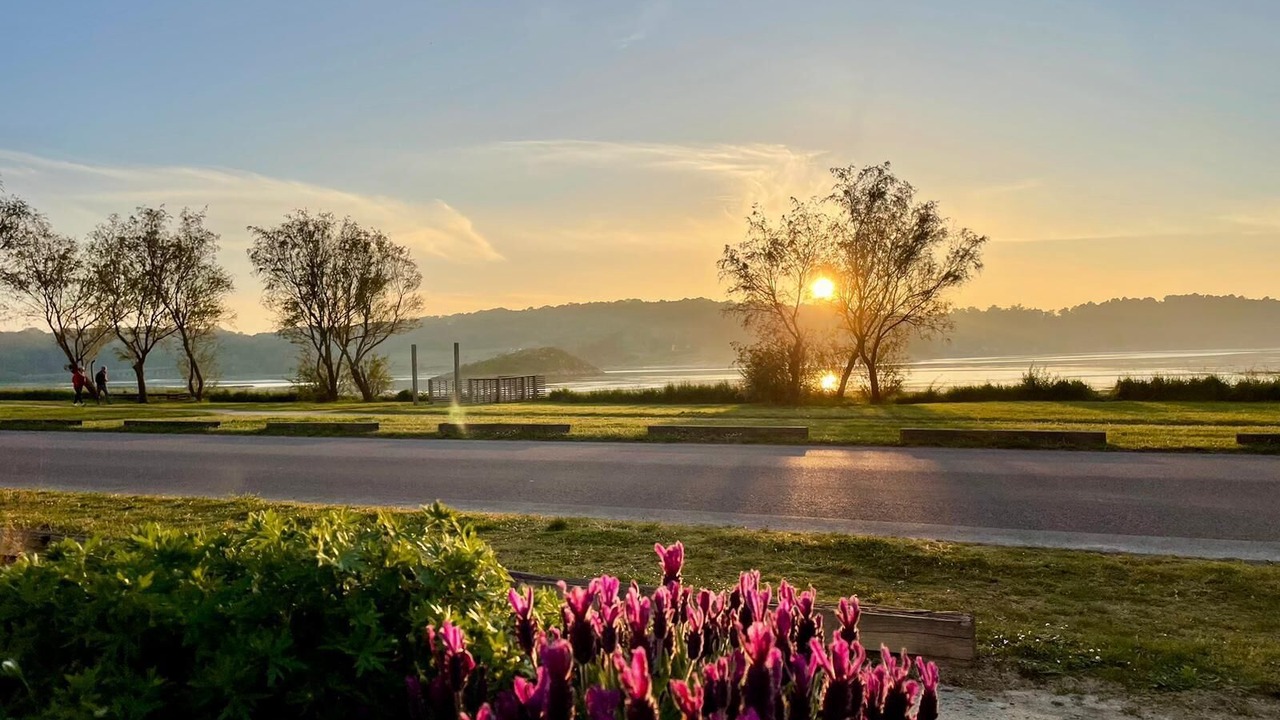 Photo of Outdoor in Sables-d'Or-les-Pins