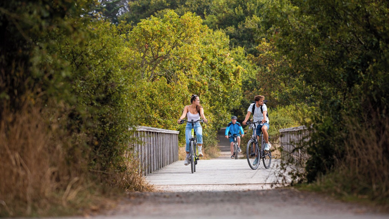 Photo of Outdoor in Sables-d'Or-les-Pins