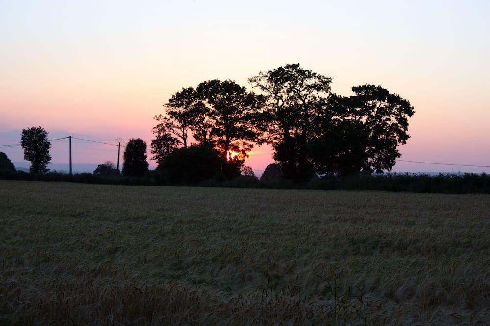 Photo of Outdoor in Plemet