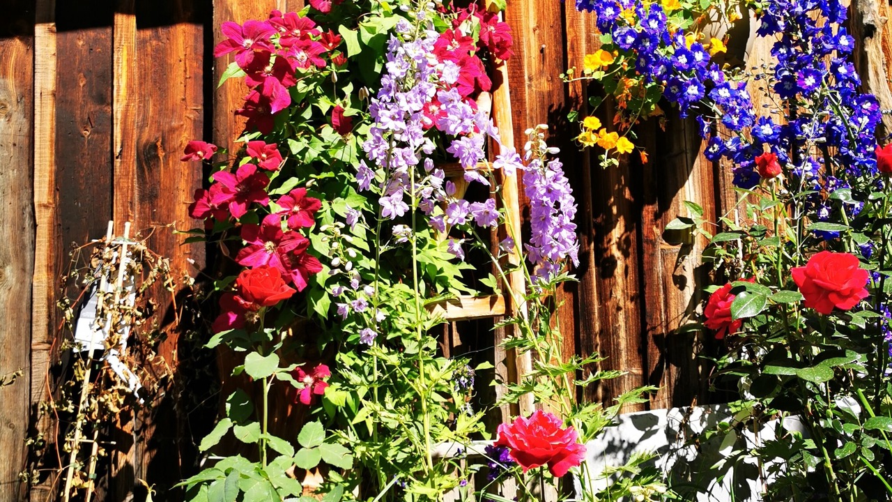 Photo of Outdoor in Jausiers