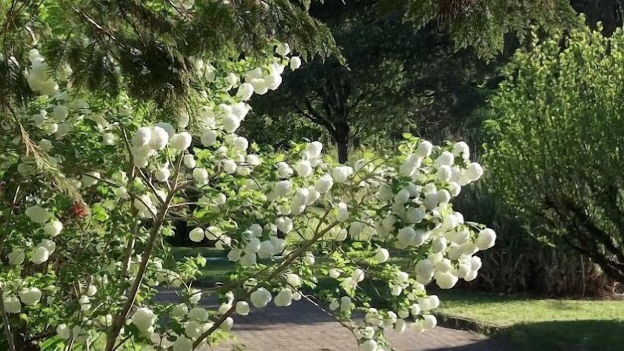 Photo of Outdoor in Saint-Laurent-sur-Manoire