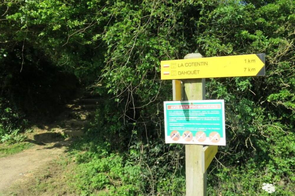 Photo of Others in Planguenoual