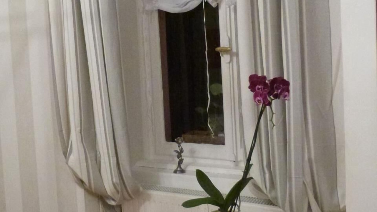 Photo of Bedroom in Trois-Epis