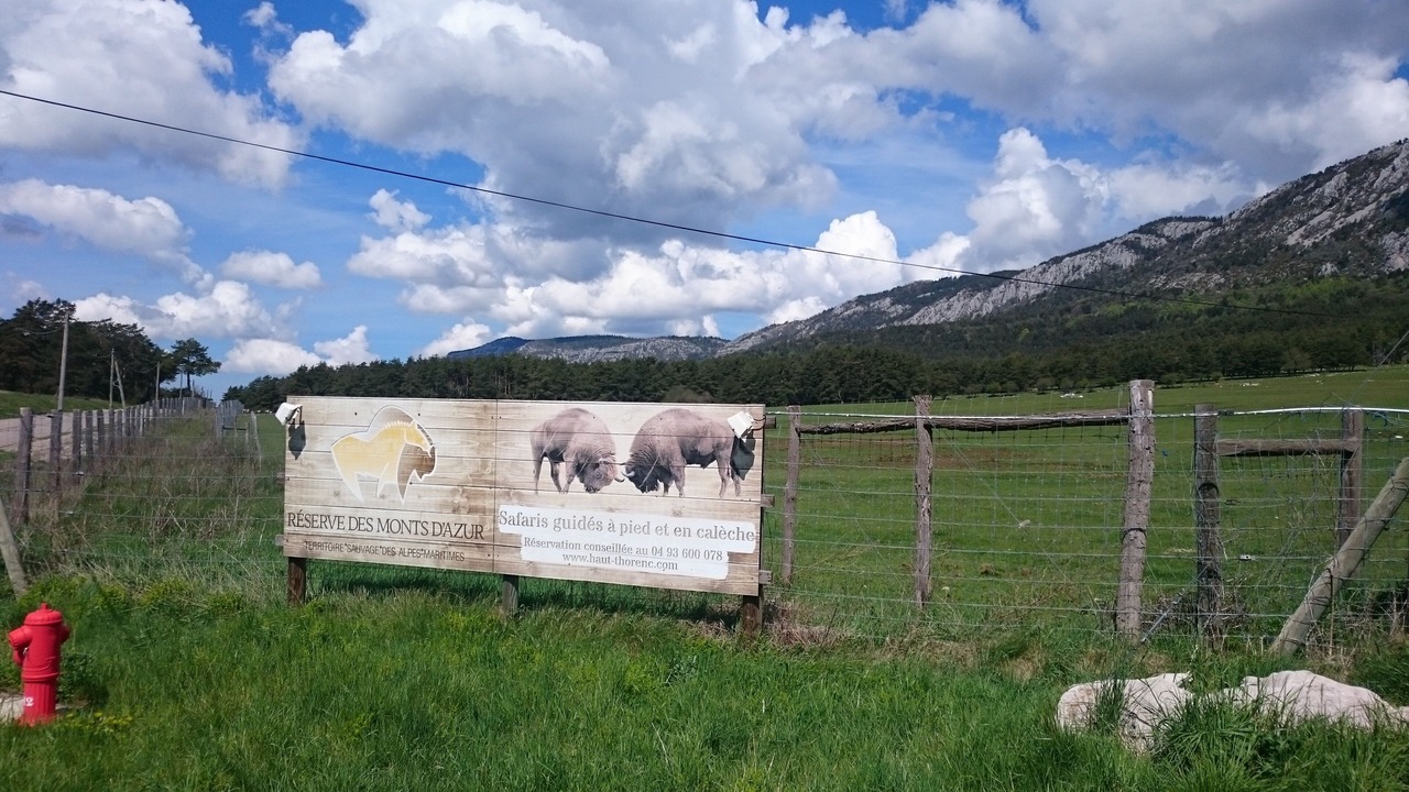 Photo of Outdoor in Thorenc