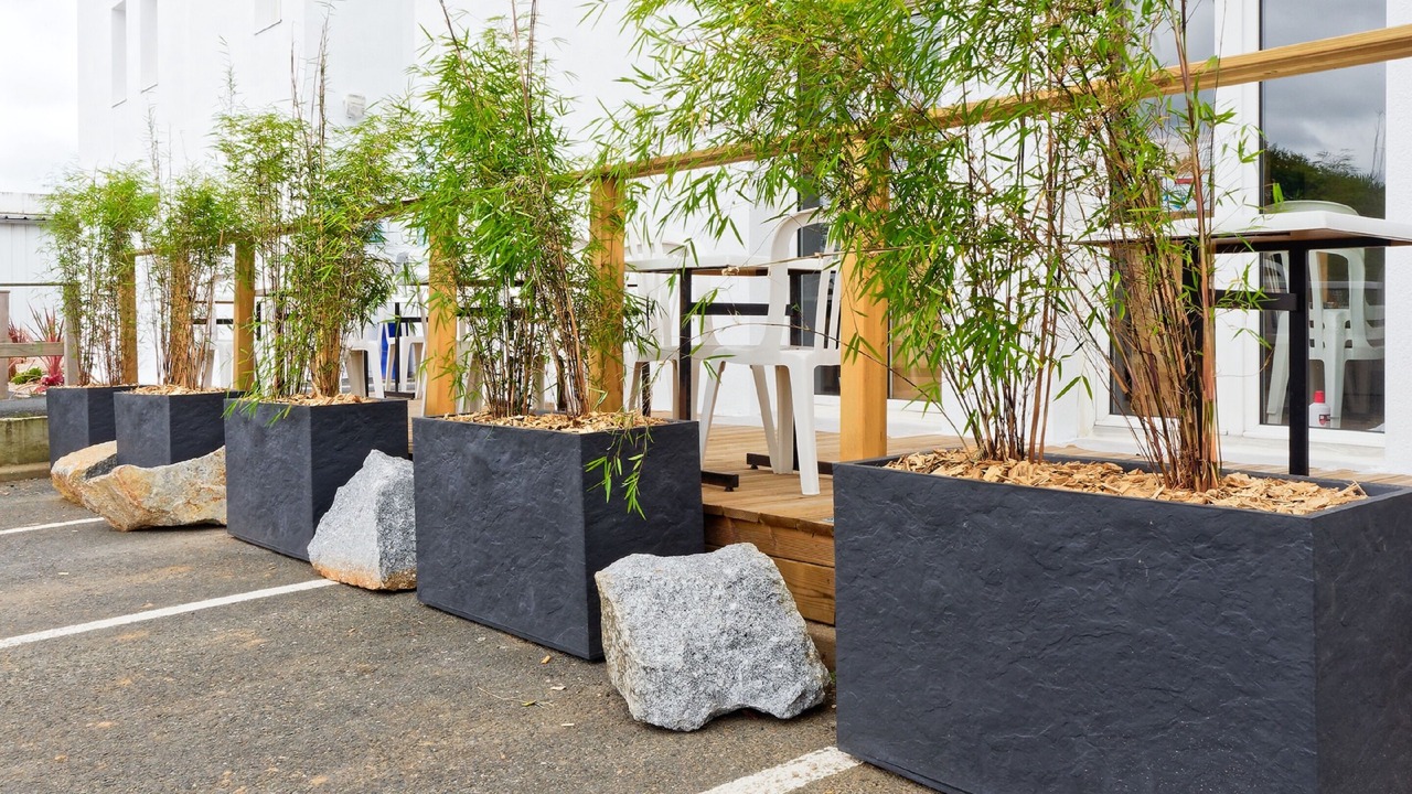 Photo of Outdoor in Tregueux
