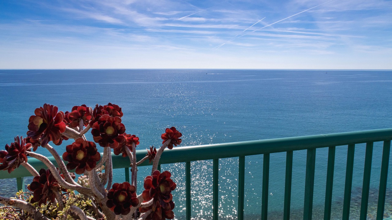 Photo of Outdoor in Menton