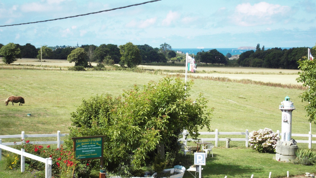 Photo of Outdoor in Tregon