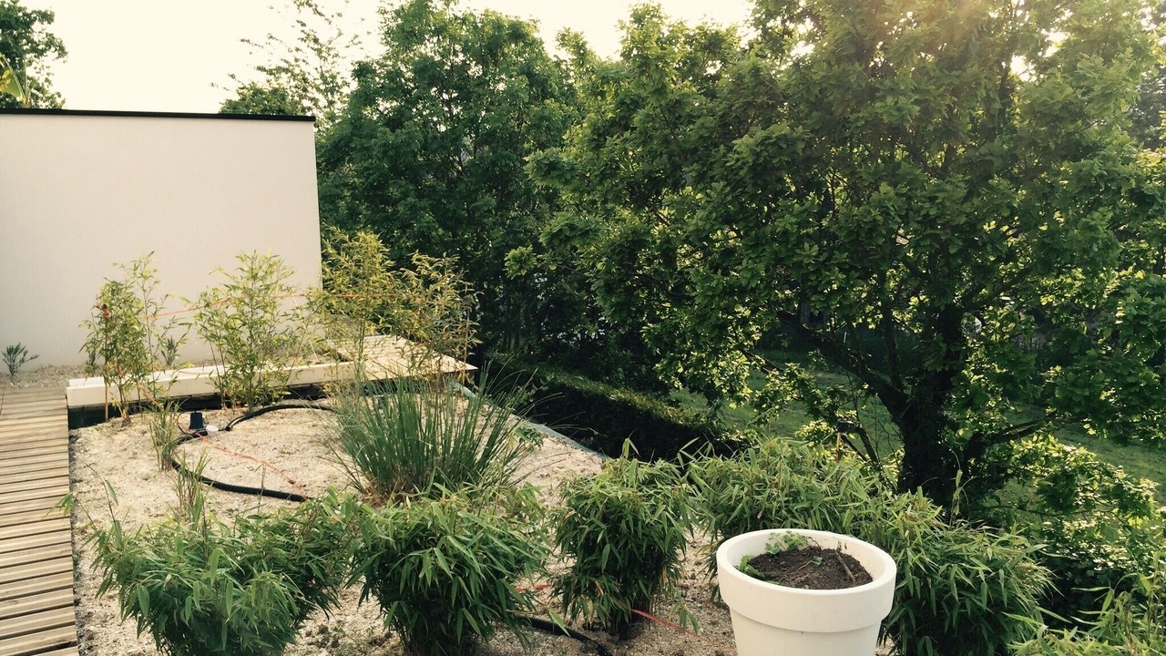 Photo of Outdoor in Langueux