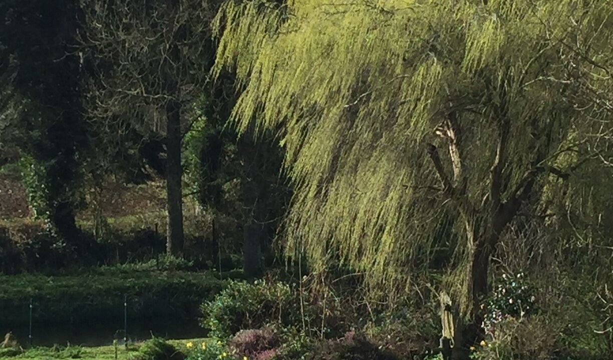 Photo of Outdoor in Ploumilliau