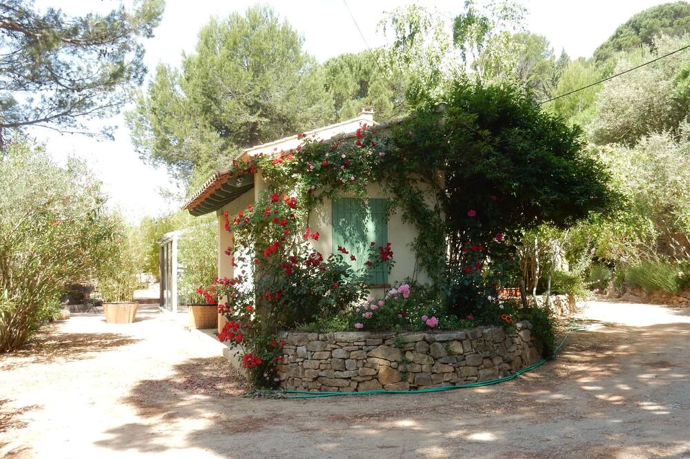 Photo of Outdoor in Le Val