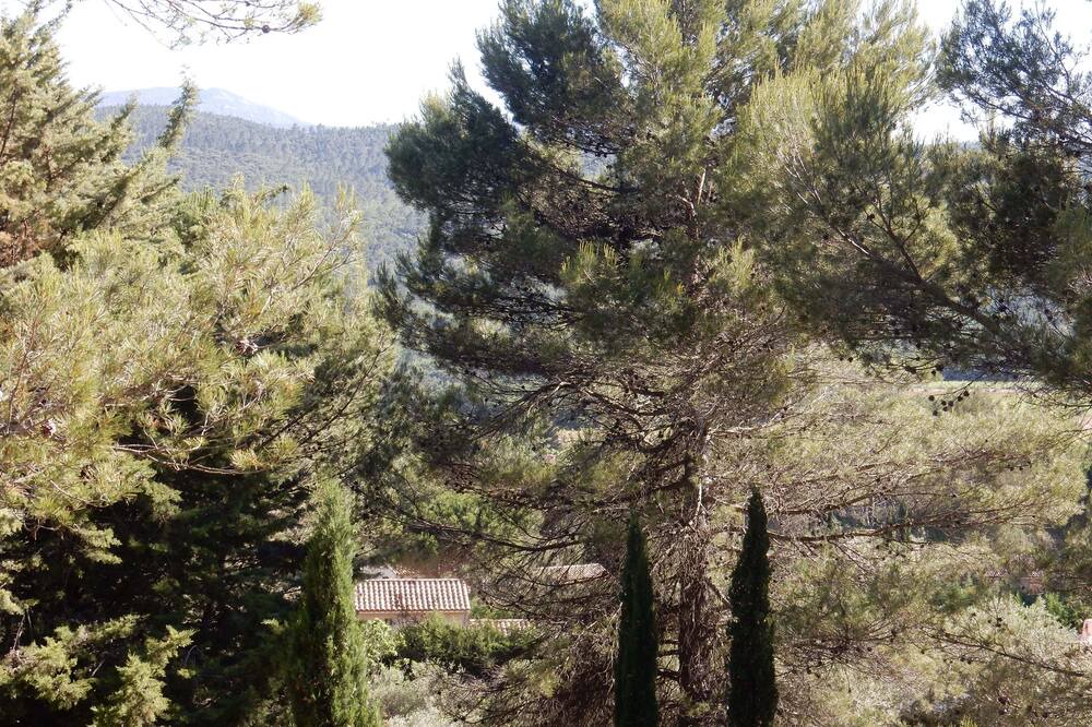 Photo of Outdoor in Le Val