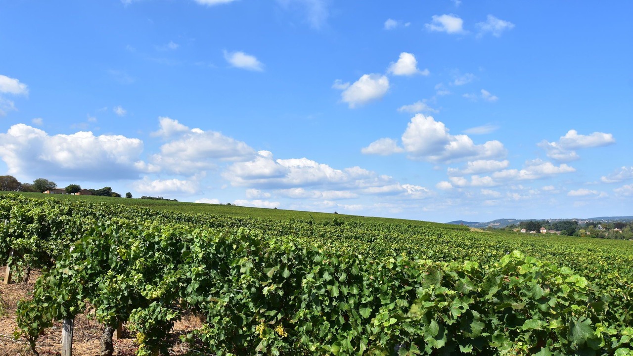 Photo of Outdoor in Sormery