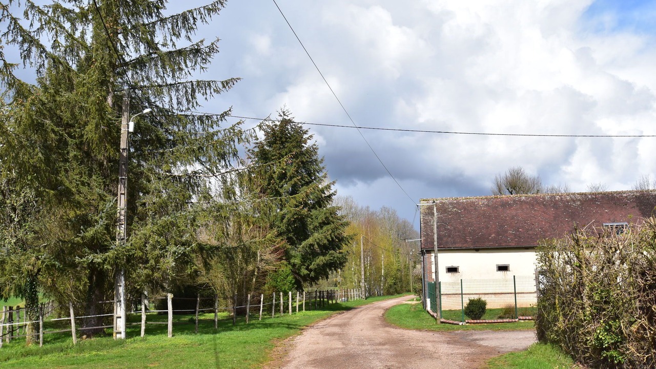 Photo of Outdoor in Sormery