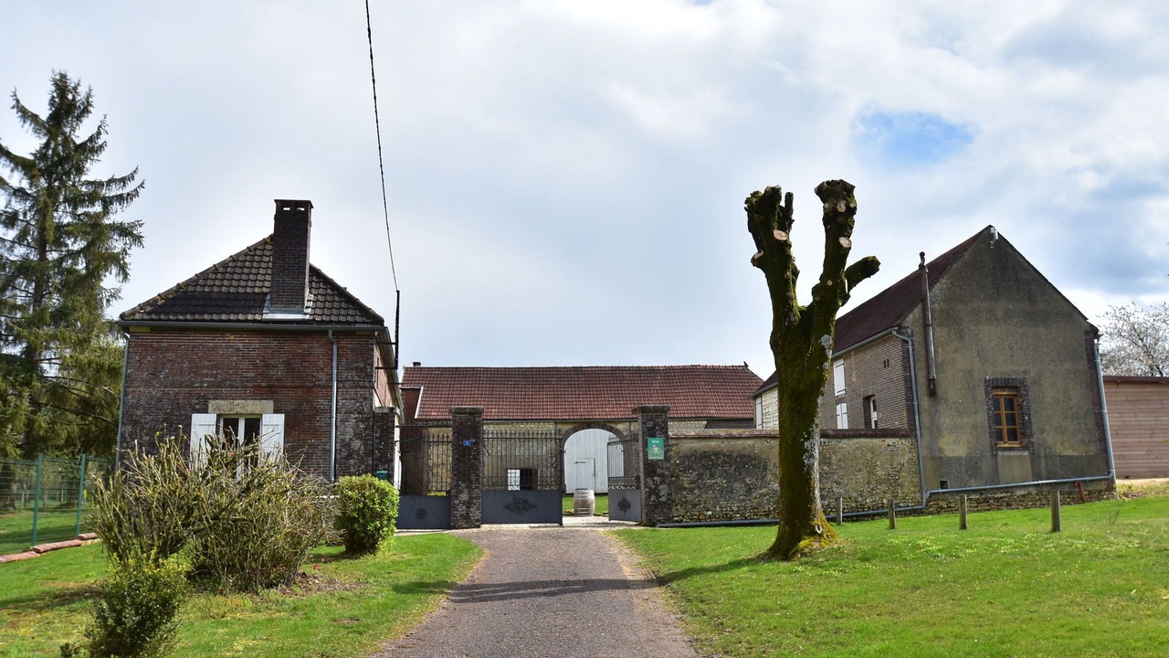 Photo of Outdoor in Sormery