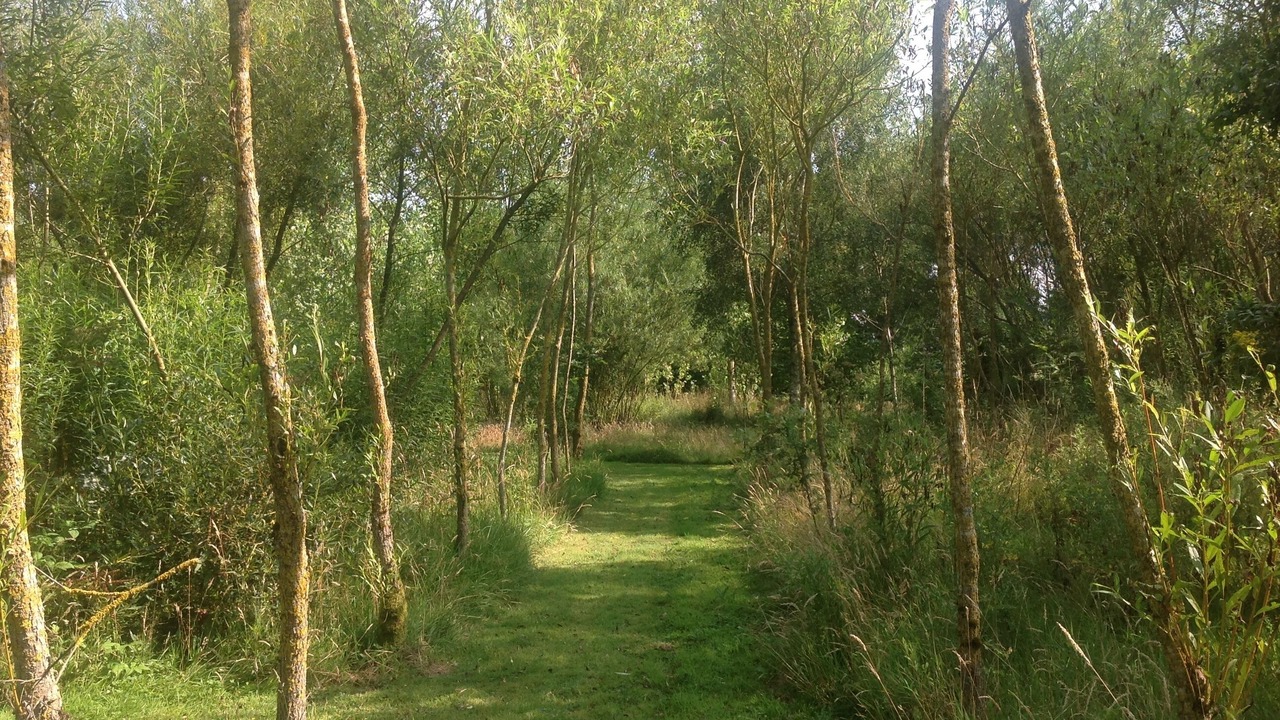 Photo of Outdoor in Langourla