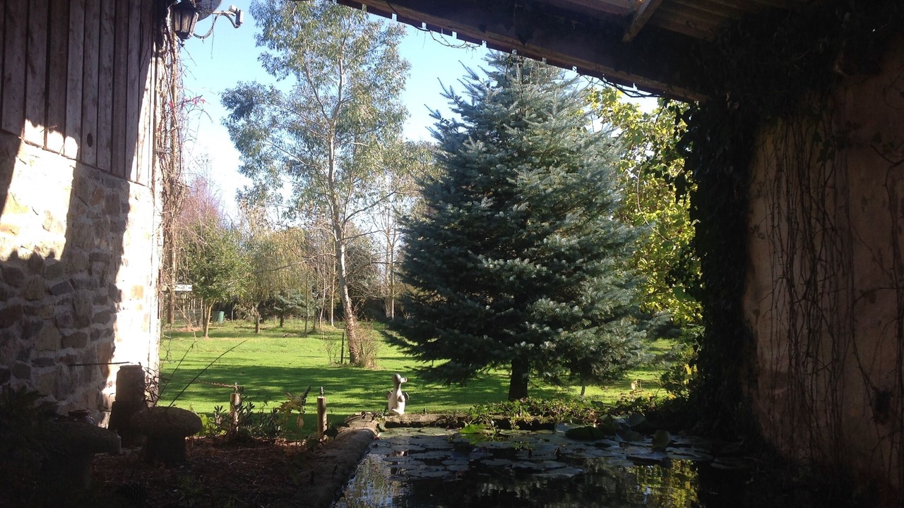 Photo of Outdoor in Langourla