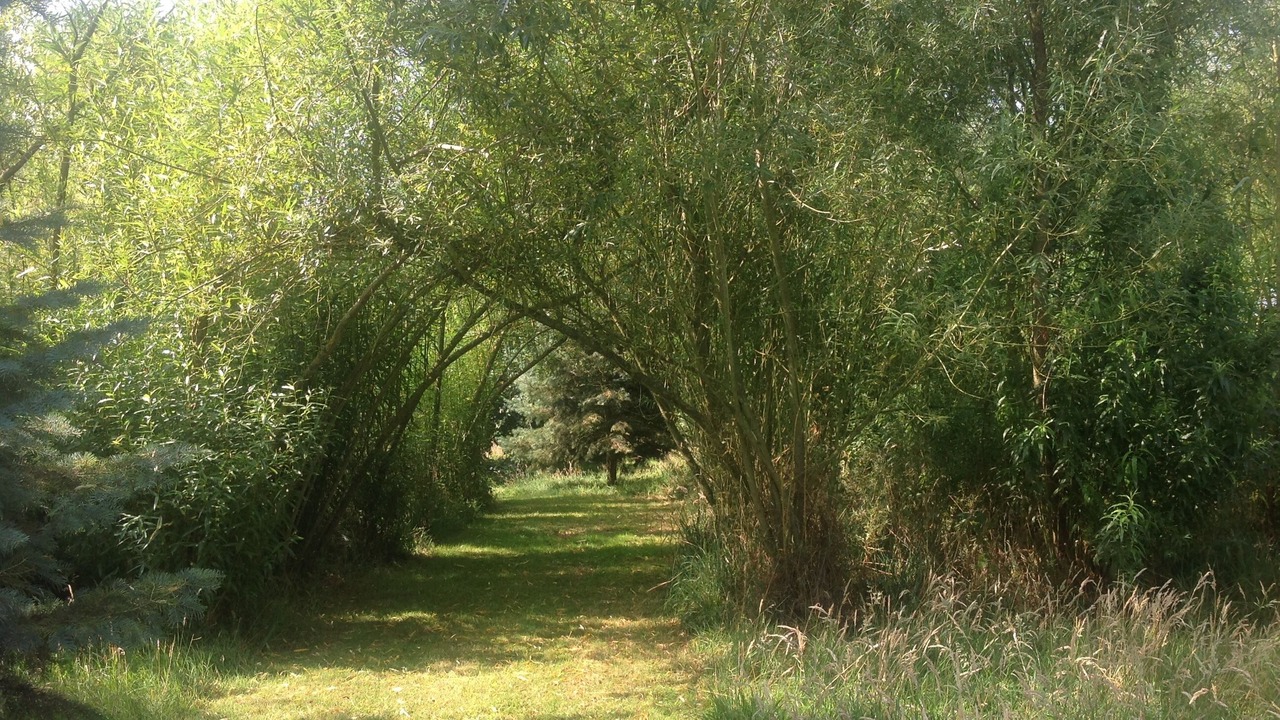 Photo of Outdoor in Langourla