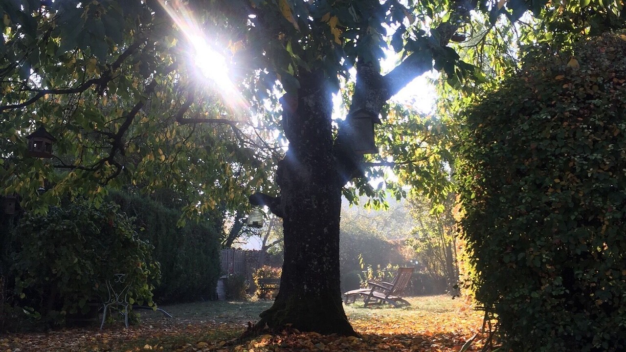 Photo of Outdoor in Mauvages