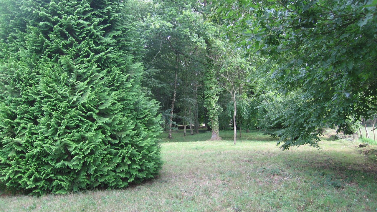 Photo of Outdoor in Miniac-Morvan